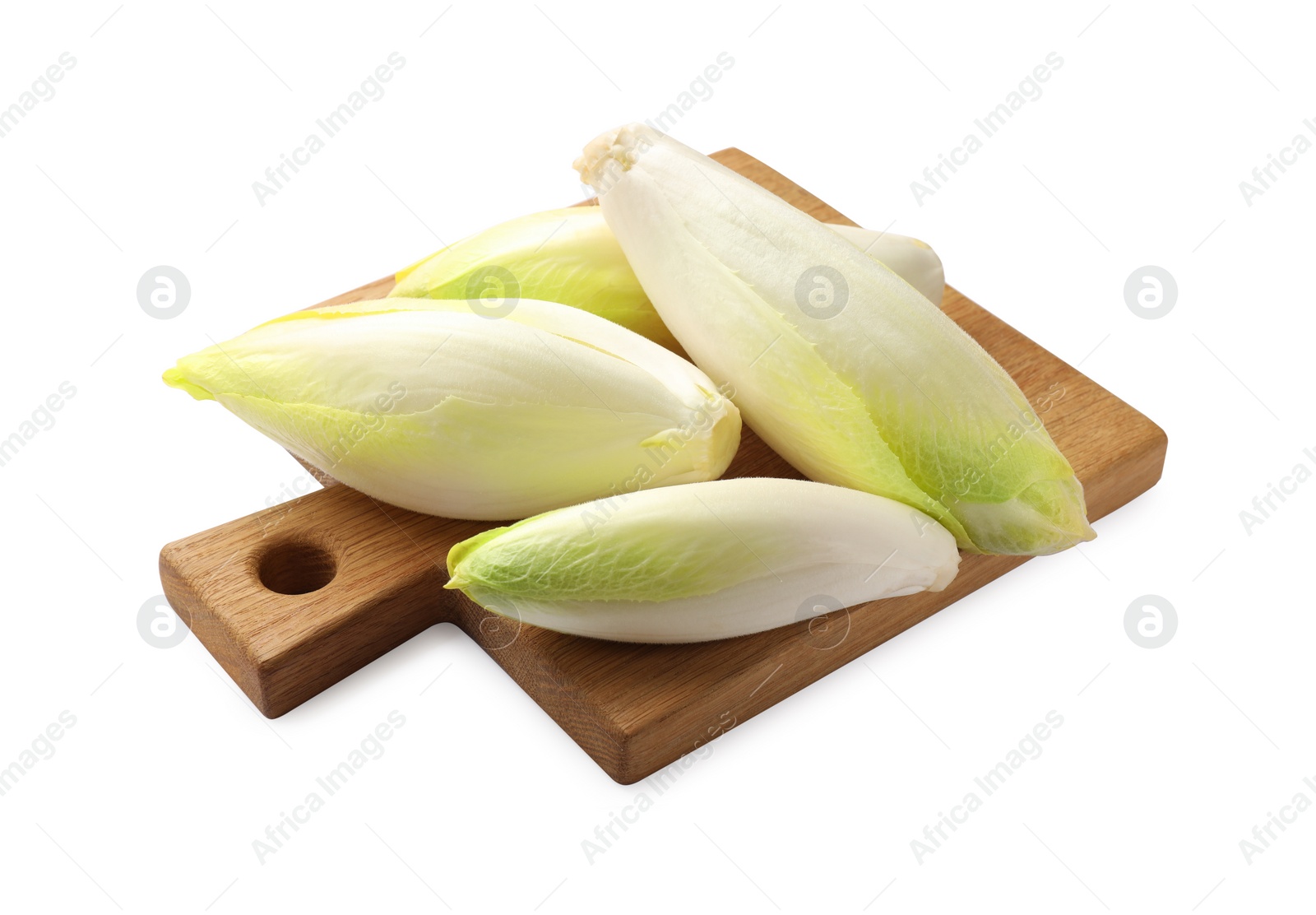 Photo of Raw ripe chicories on white background. Belgian endive