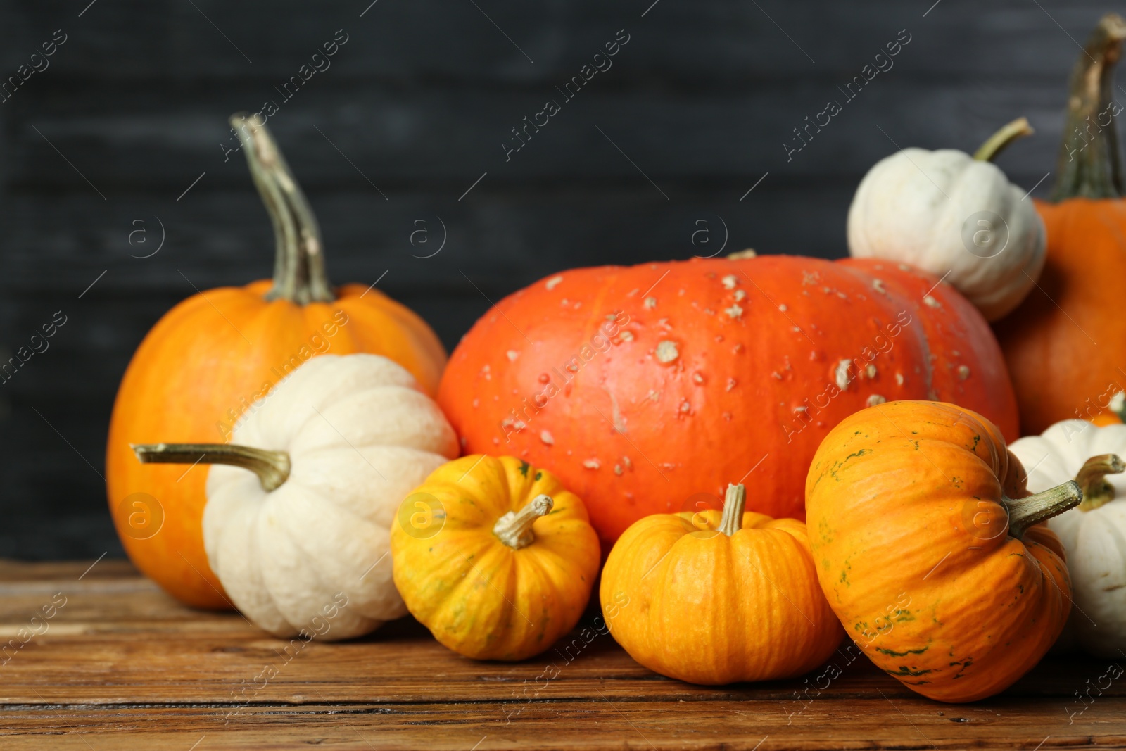 Photo of Thanksgiving day. Many different pumpkins on wooden table