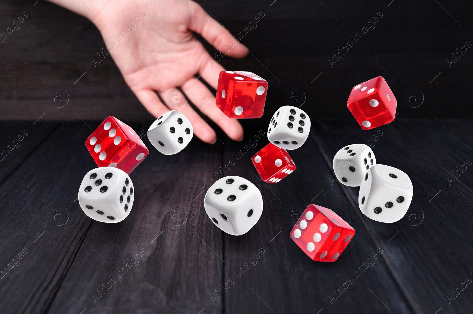 Image of Woman throwing many dice on black wooden table, closeup