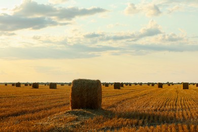 Beautiful view of agricultural field with hay bales