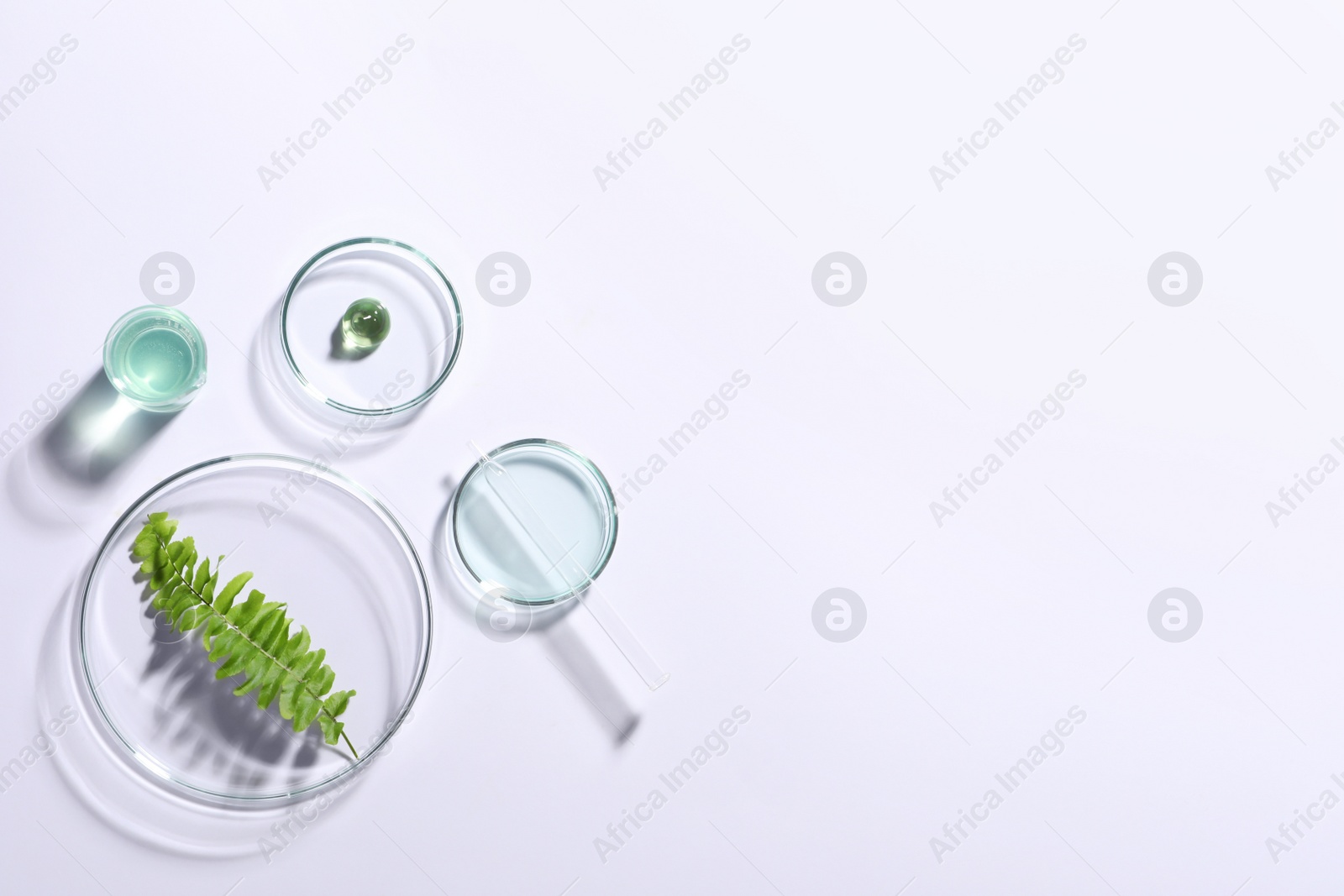 Photo of Organic cosmetic product, natural ingredients and laboratory glassware on white background, top view. Space for text