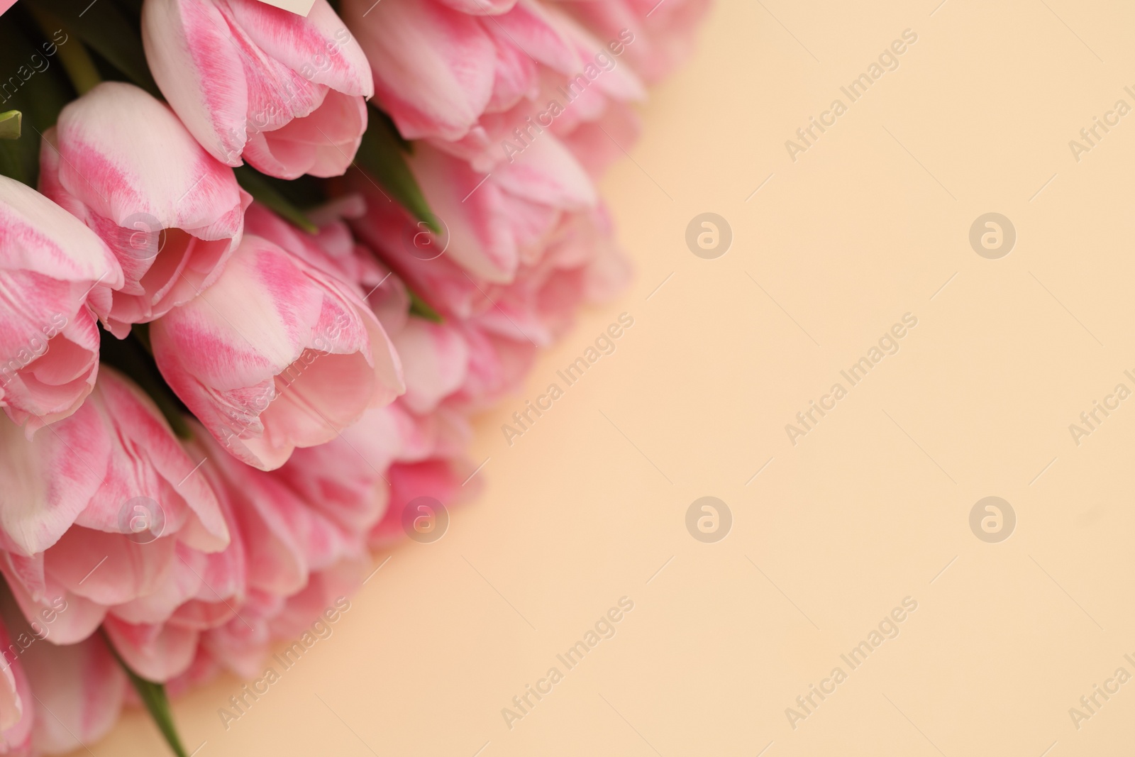 Photo of Beautiful bouquet of fresh pink tulips on beige background, closeup. Space for text