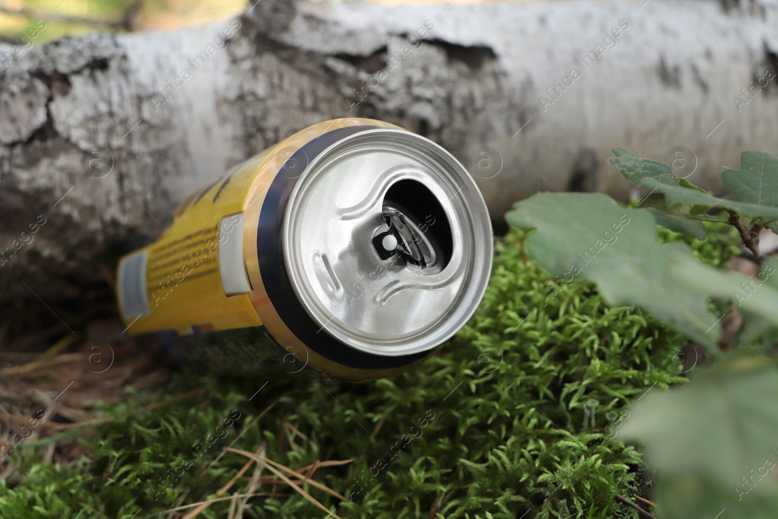 Photo of Used aluminum can on ground outdoors, closeup. Recycling problem