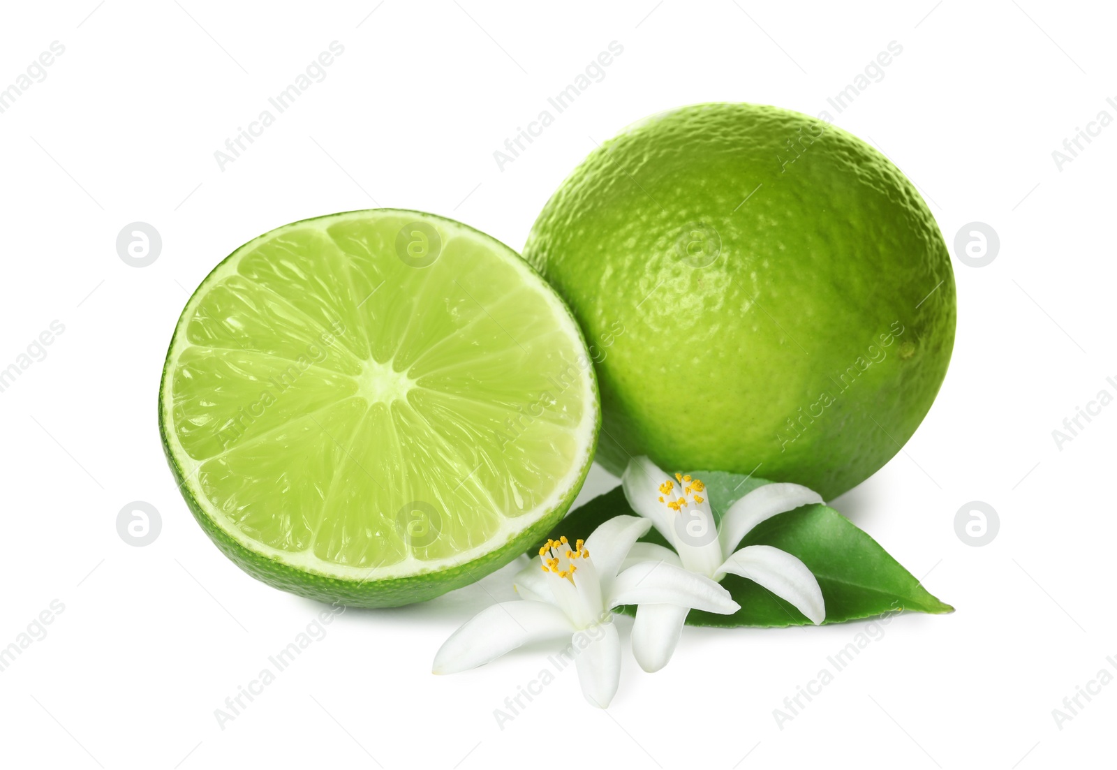 Photo of Ripe limes and flowers on white background. Citrus fruit