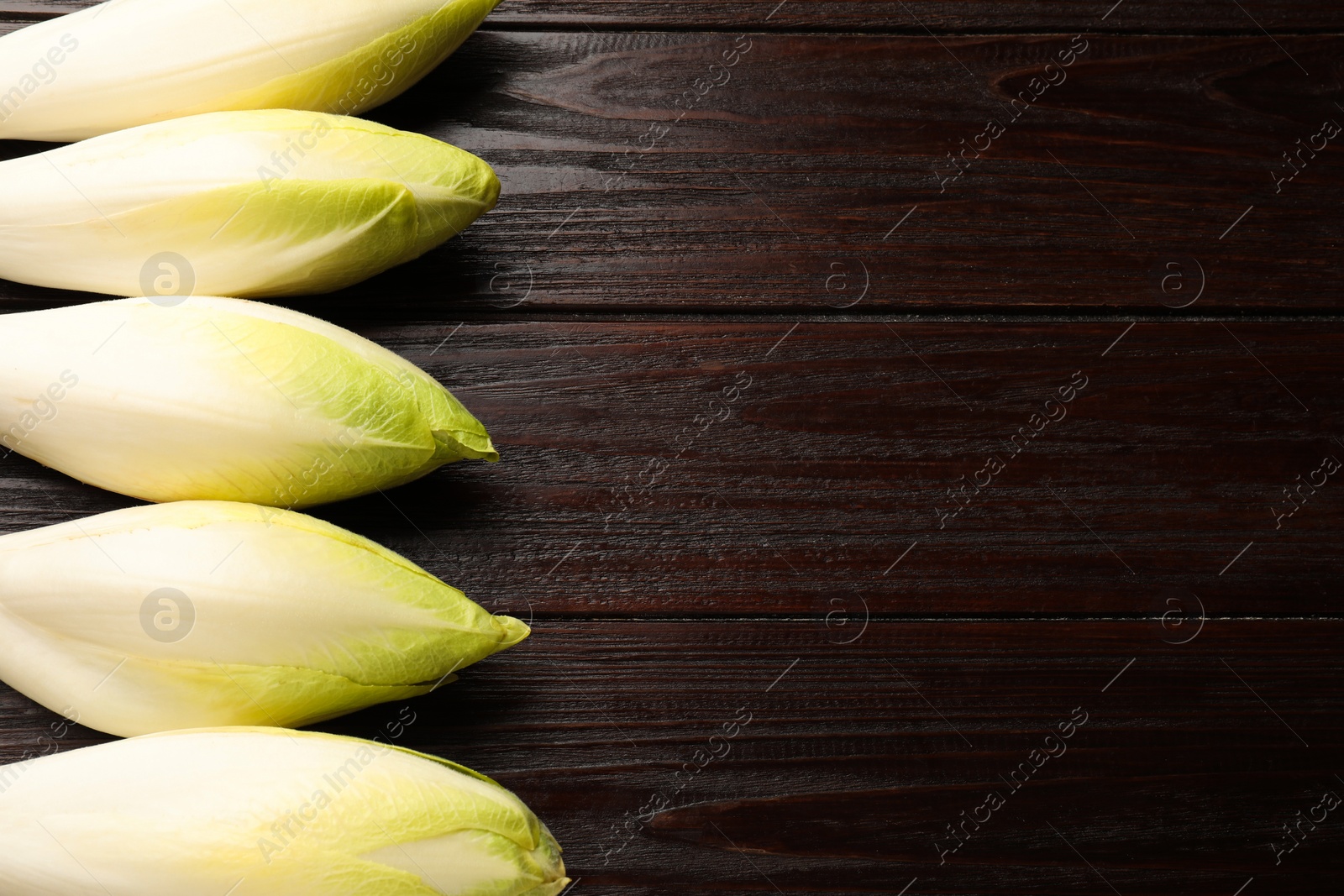 Photo of Raw ripe chicories on wooden table, top view. Space for text