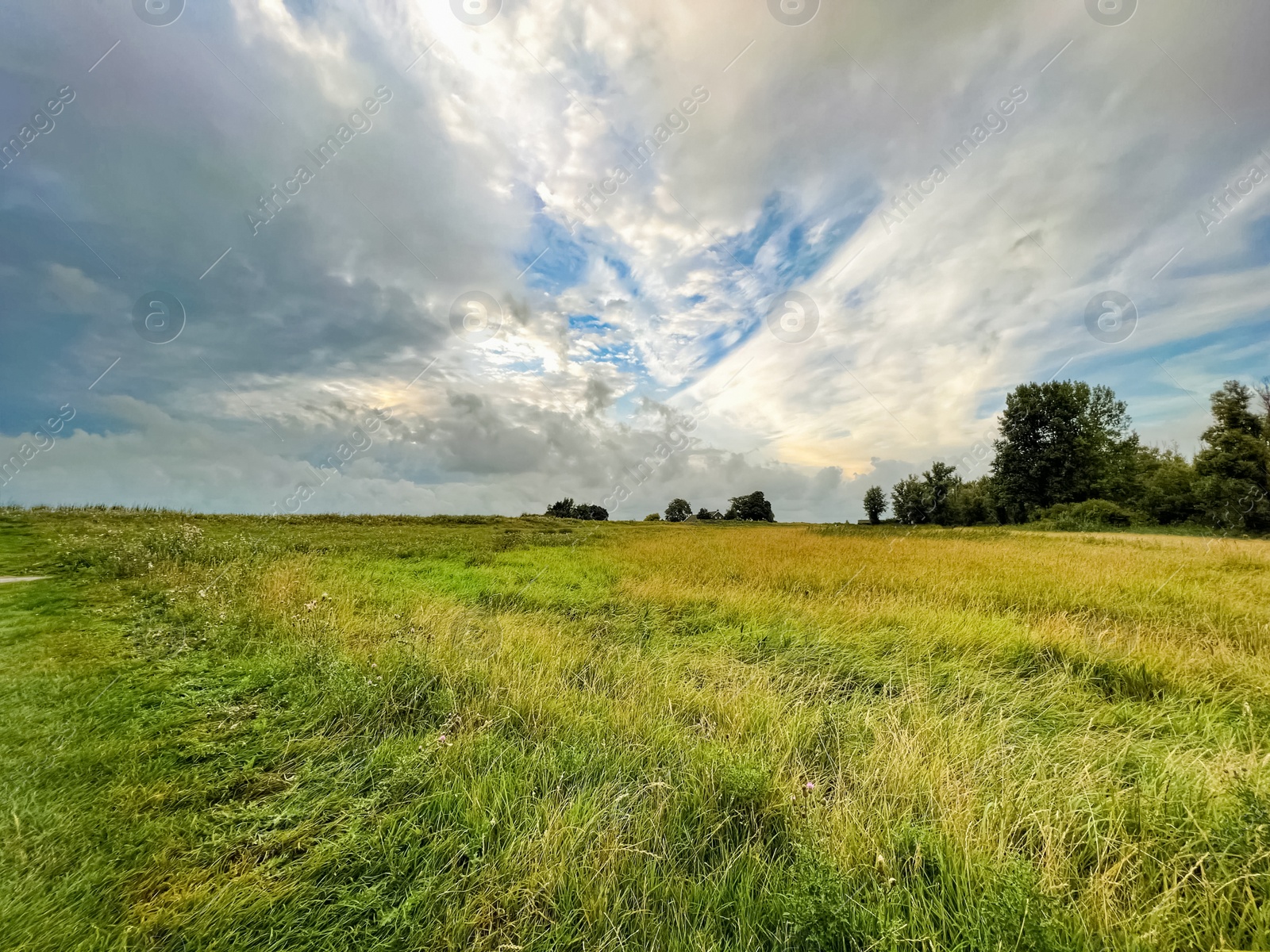 Photo of Picturesque view of green field and cloudy sky