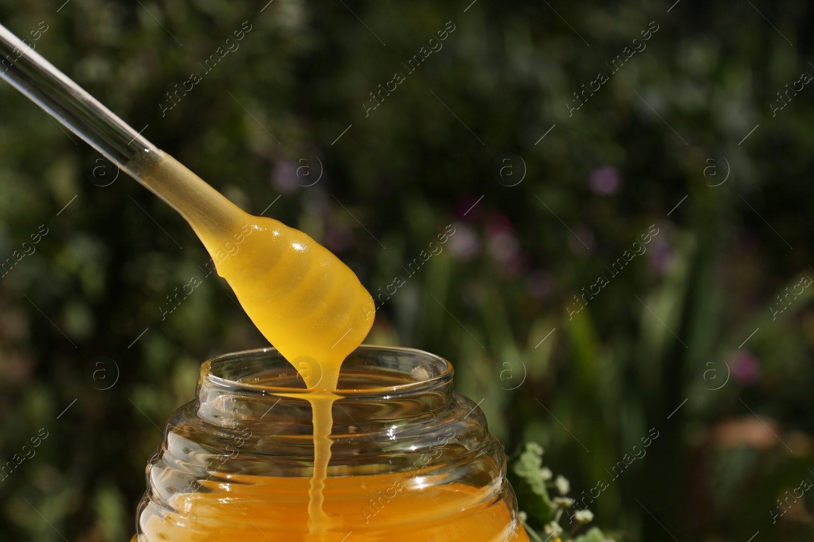 Photo of Taking delicious fresh honey with dipper from glass jar against blurred background, closeup