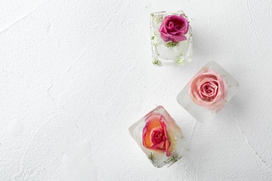 Ice cubes with roses on white background, flat lay. Space for text