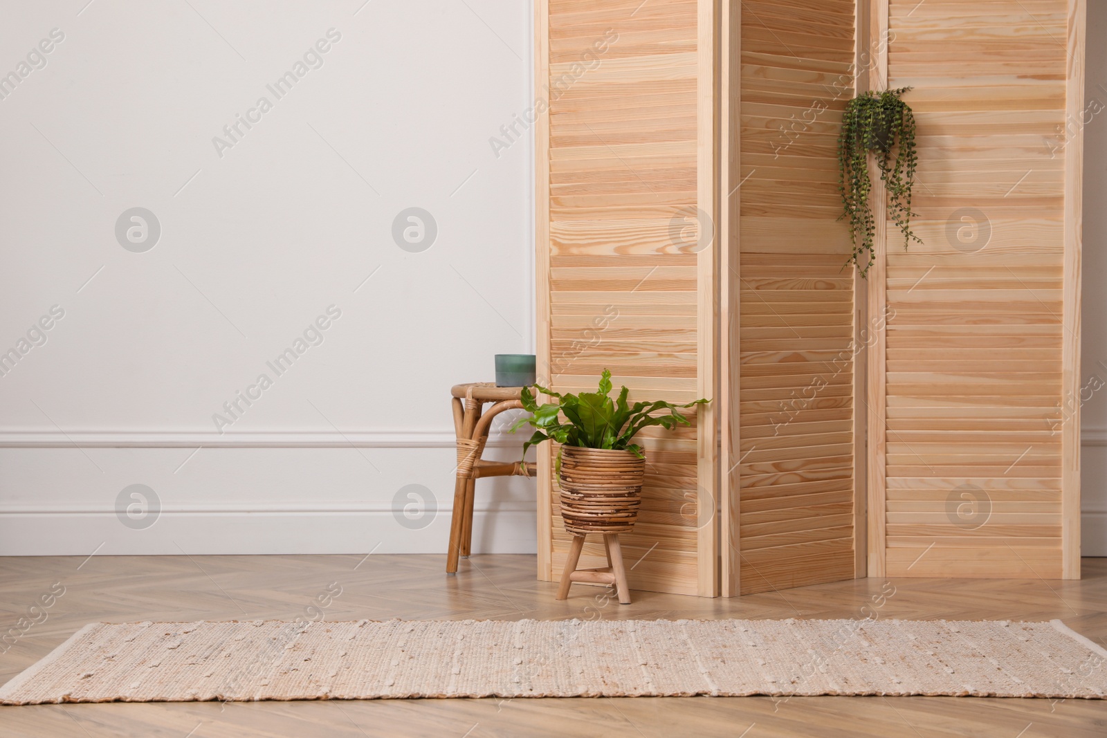 Photo of Folding screen and beautiful houseplants near white wall in room. Interior design