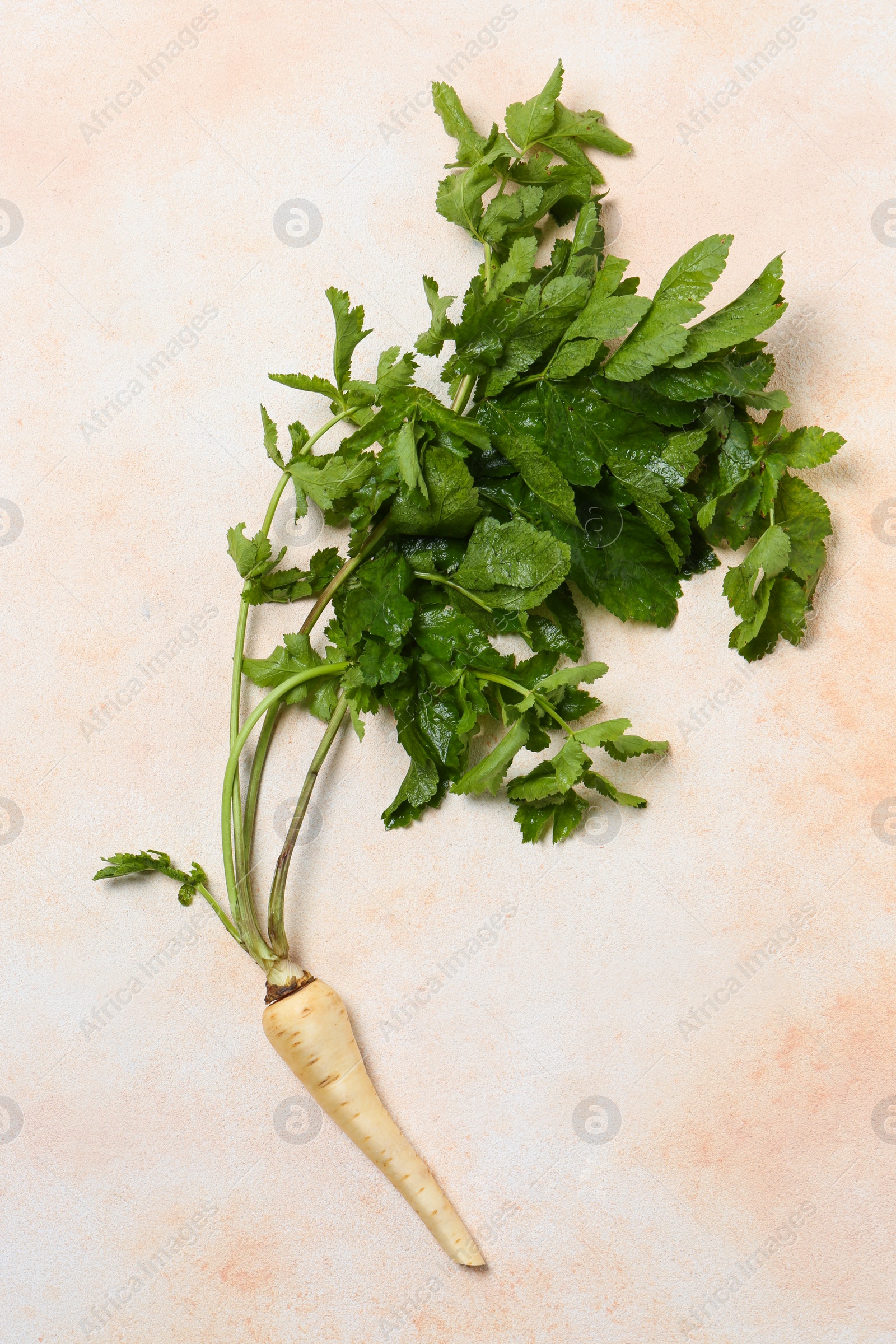 Photo of Fresh ripe parsnip on color textured background