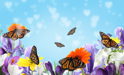 Image of Beautiful blooming flowers and fragile monarch butterflies