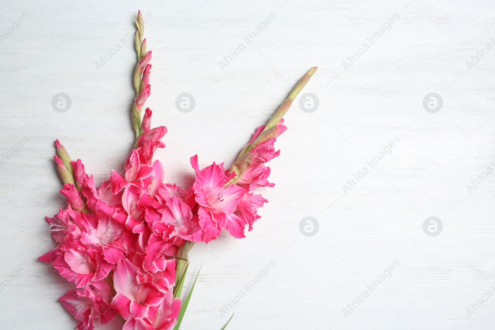 Photo of Flat lay composition with beautiful gladiolus flowers on wooden background