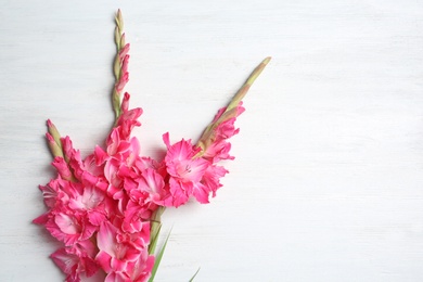 Flat lay composition with beautiful gladiolus flowers on wooden background