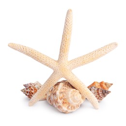 Photo of Beautiful sea star and shells isolated on white