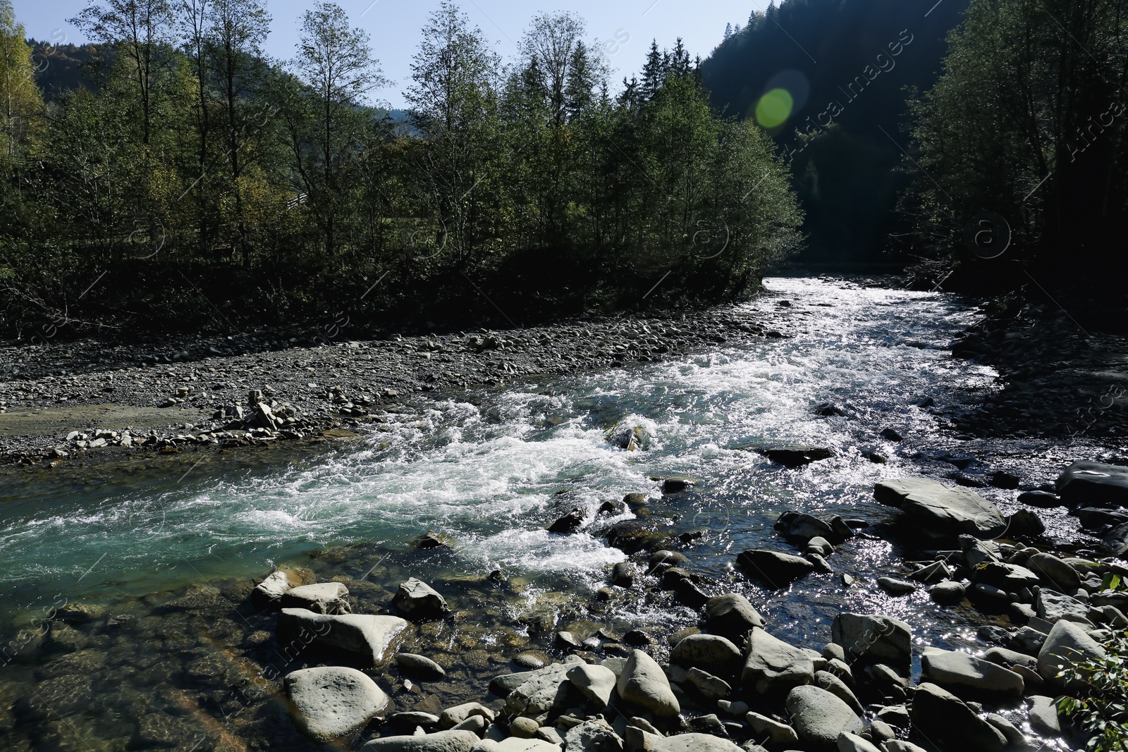 Photo of Mountain river flowing on sunny day. beautiful landscape