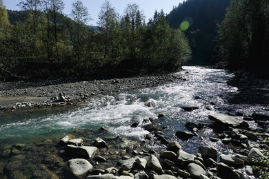 Photo of Mountain river flowing on sunny day. beautiful landscape