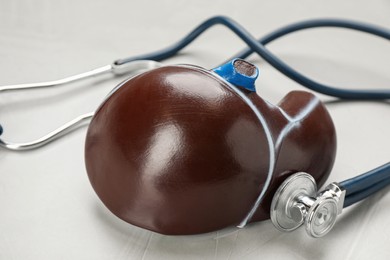 Stethoscope and liver model at white table, closeup