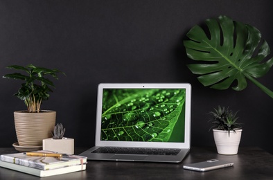 Houseplants and laptop on table in office interior