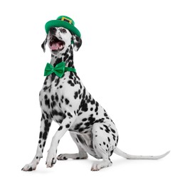 Image of St. Patrick's day celebration. Cute Dalmatian dog with leprechaun hat and green bow tie isolated on white