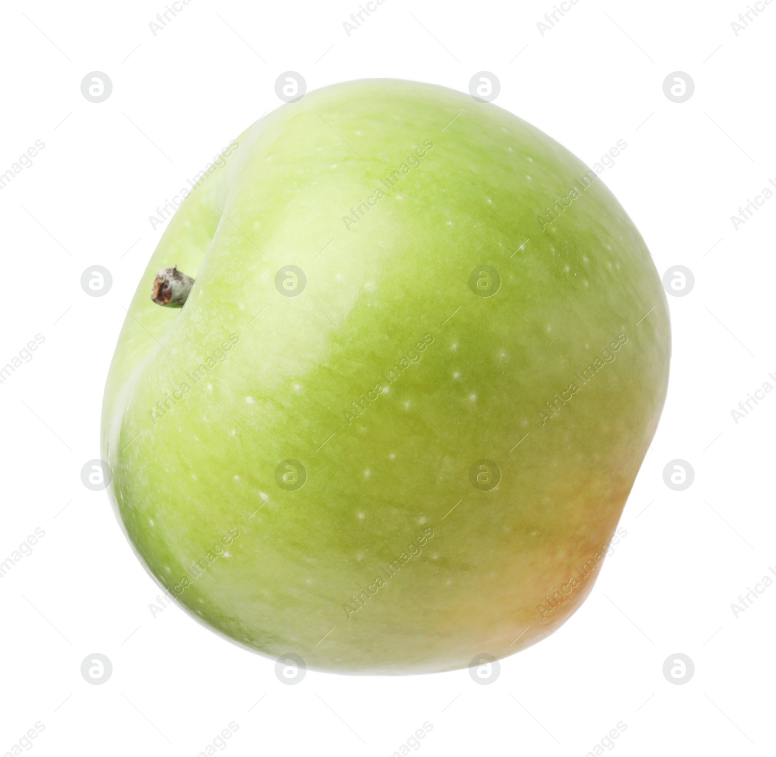 Photo of Whole ripe green apple isolated on white