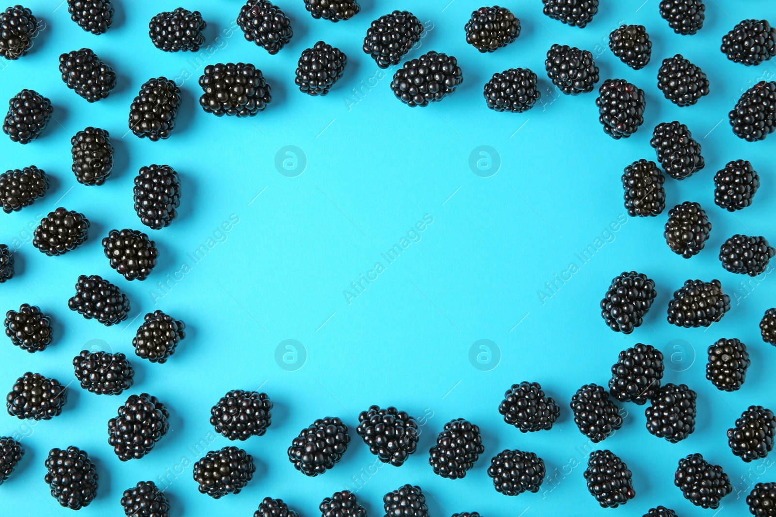 Photo of Frame made of tasty blackberries on blue background, top view with space for text