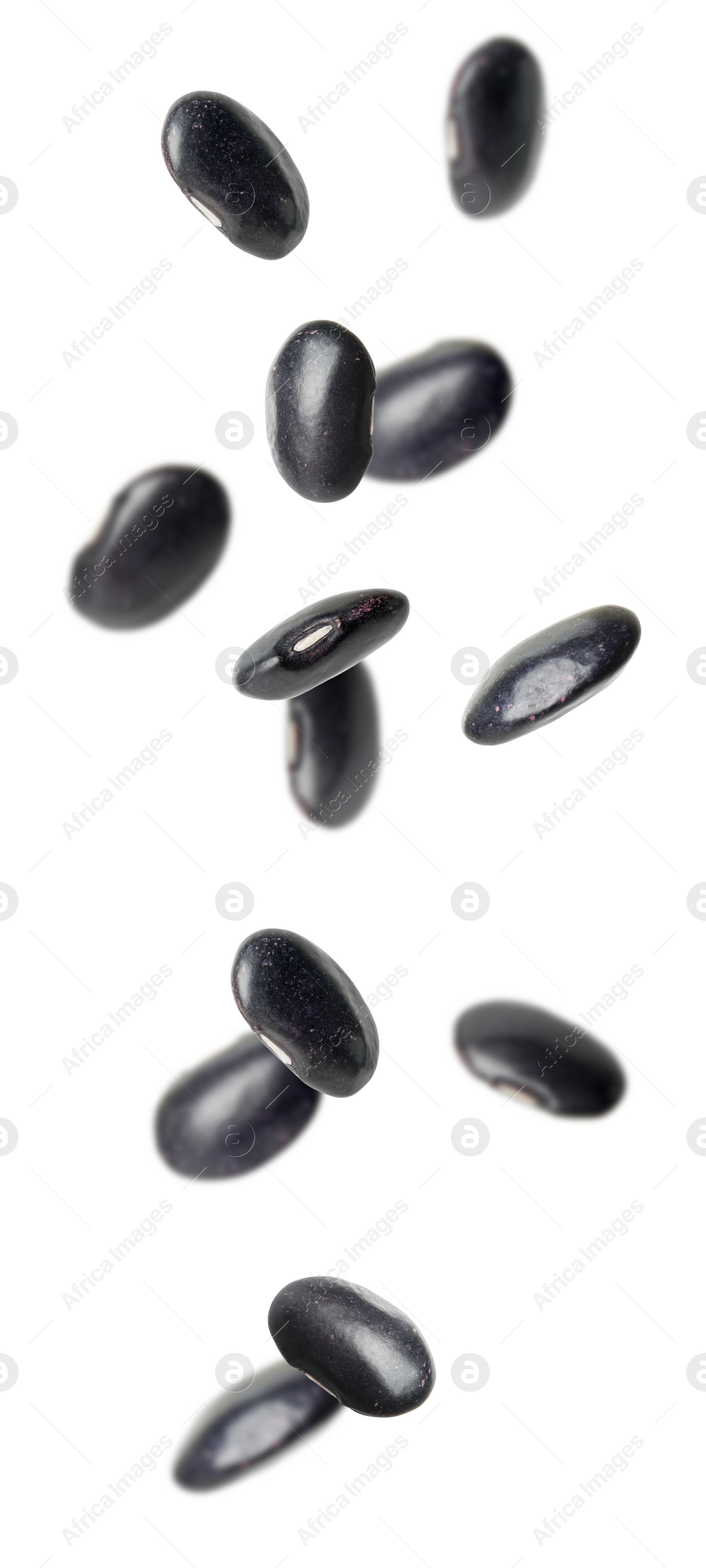 Image of Many black beans falling on white background, vertical banner design. Vegan diet 