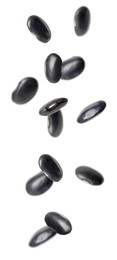 Image of Many black beans falling on white background, vertical banner design. Vegan diet 