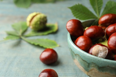 Photo of Horse chestnuts in bowl on blue table, closeup. Space for text