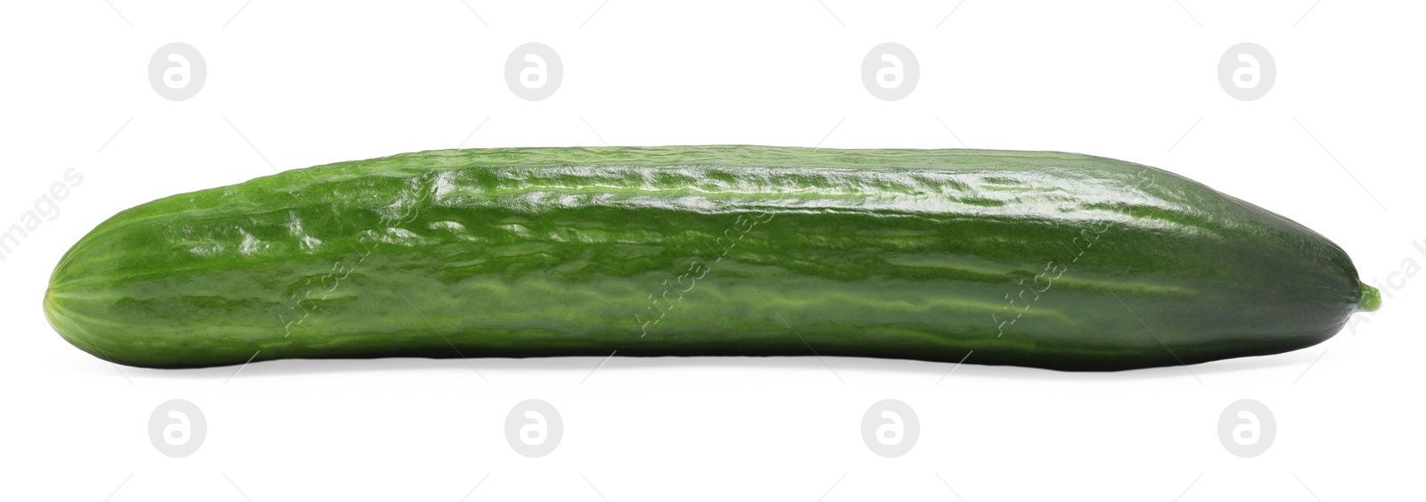 Photo of One long fresh cucumber isolated on white