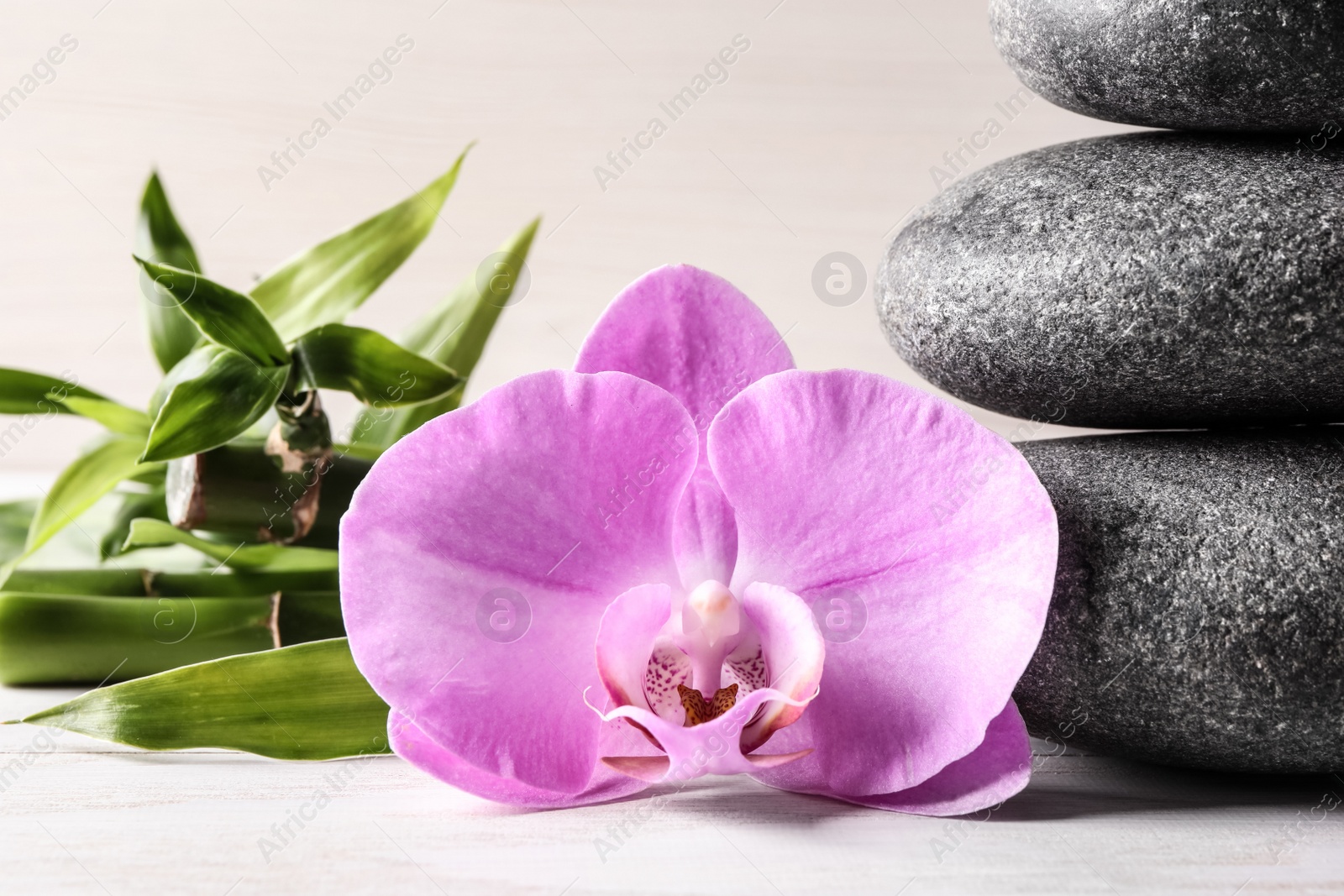 Photo of Spa stones, bamboo and beautiful orchid flower on white table, closeup