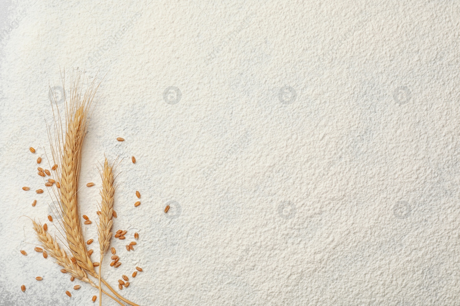 Photo of Spikelets and grains on wheat flour