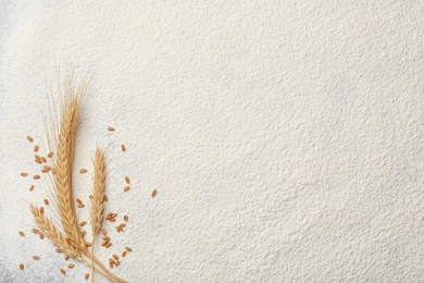 Photo of Spikelets and grains on wheat flour