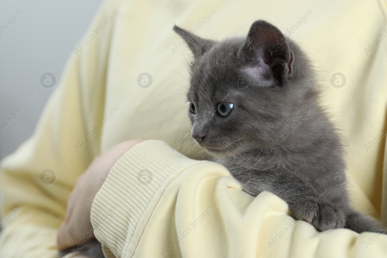 Photo of Woman with cute fluffy kitten, closeup view