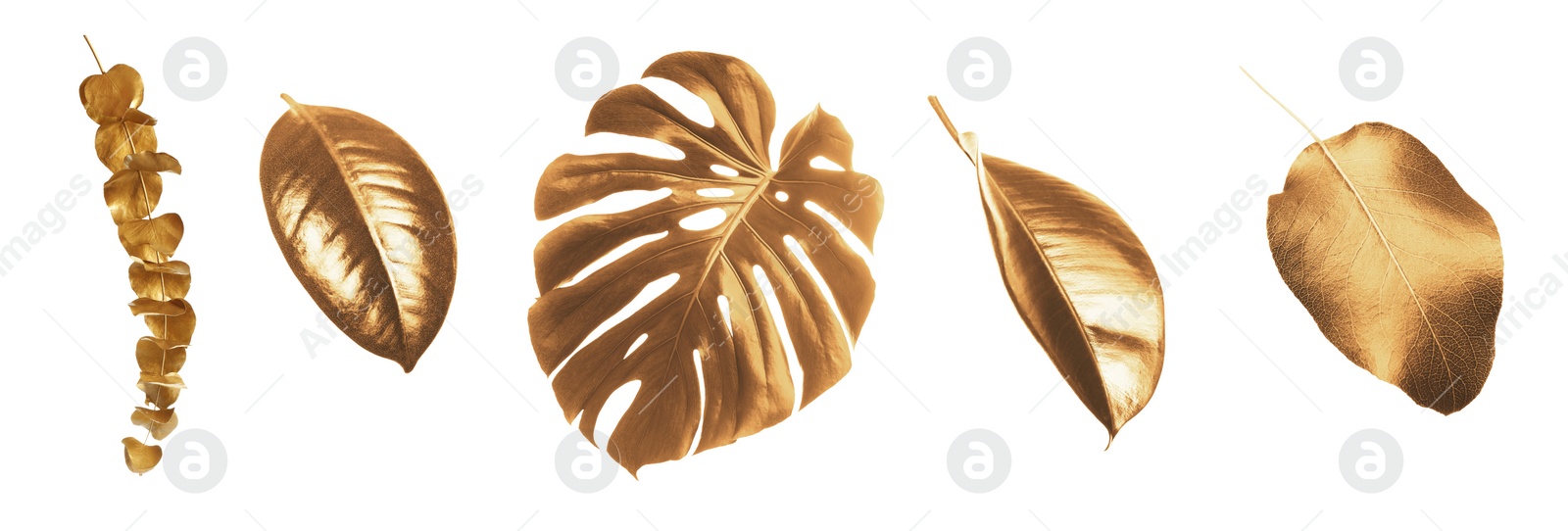 Image of Collage with different gold painted leaves on white background