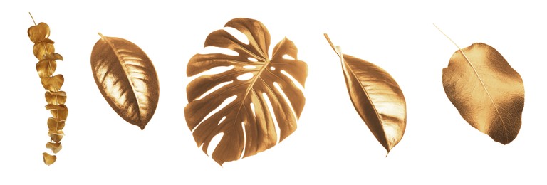 Image of Collage with different gold painted leaves on white background