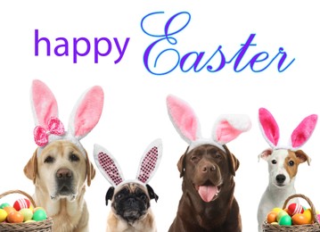 Image of Happy Easter. Colorful eggs and cute dogs with bunny ears headbands on white background