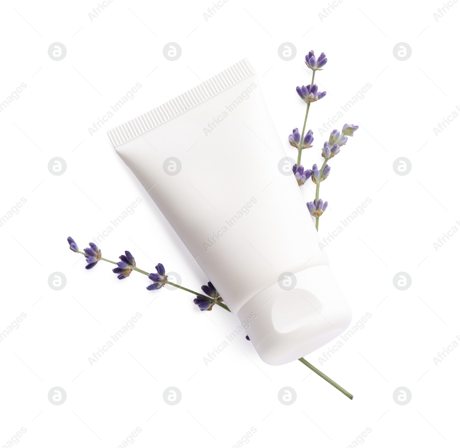 Photo of Tube of hand cream and lavender on white background, top view