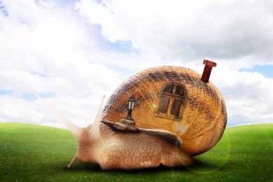 Image of Fantasy world. Magic snail with its shell house moving on green meadow