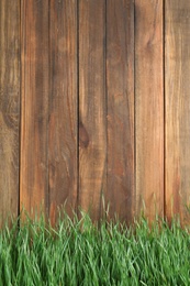 Photo of Fresh green grass near wooden fence. Space for text