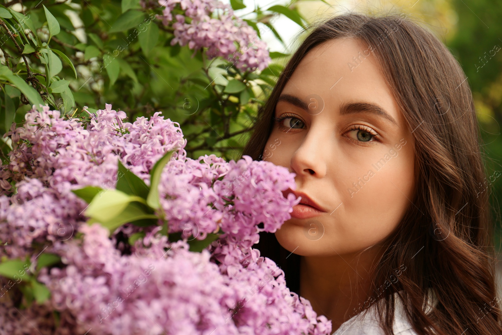 Photo of Attractive young woman near blooming lilac bush outdoors