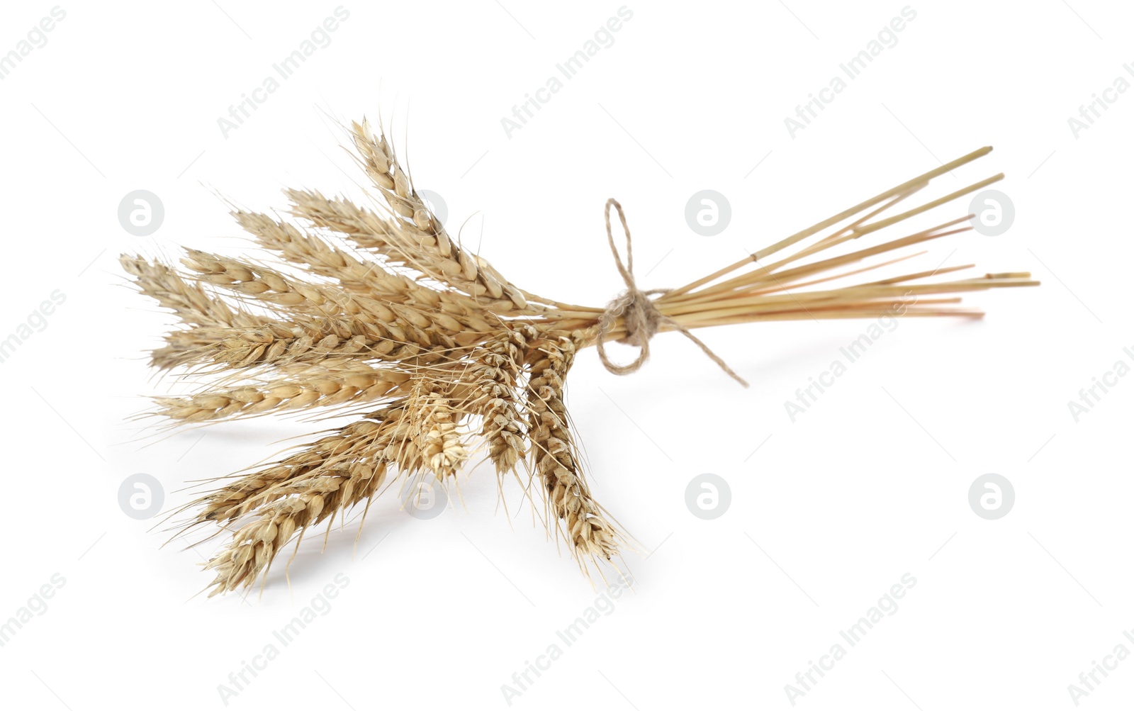 Photo of Bunch of wheat ears isolated on white