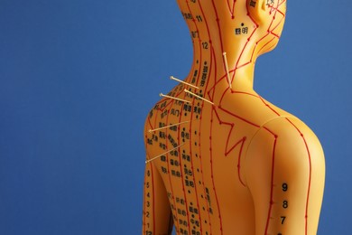Photo of Acupuncture - alternative medicine. Human model with needles in back on blue background, space for text