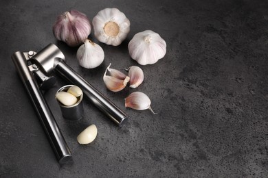 Photo of Garlic press, bulbs and cloves on grey table, above view. Space for text