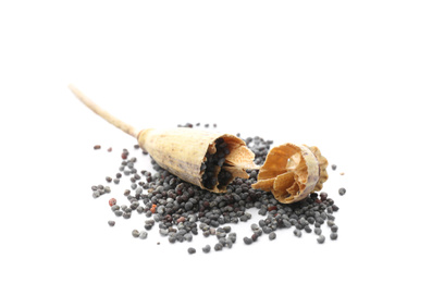 Dried poppyhead and seeds on white background