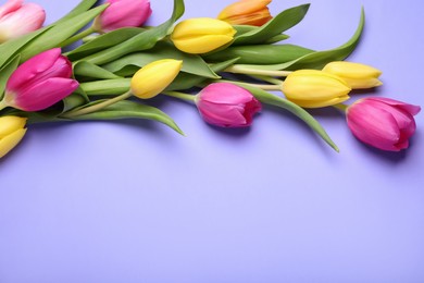 Photo of Beautiful tulips on violet background, flat lay. Space for text