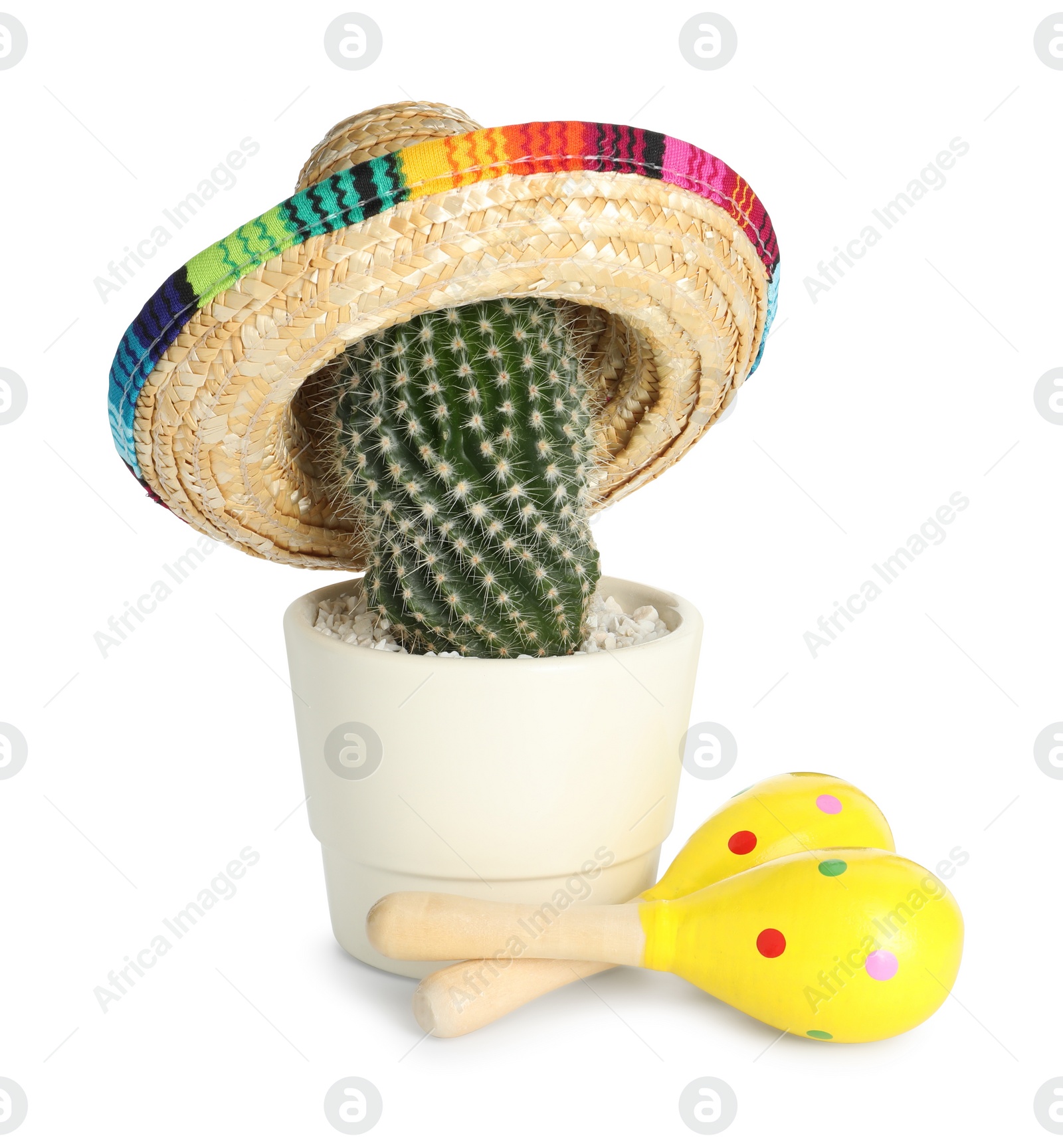 Photo of Cactus with Mexican sombrero hat and maracas isolated on white