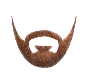 Image of Stylish beard on white background. Men's fashion