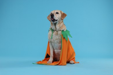 Photo of Cute Labrador Retriever dog in Halloween costume on light blue background