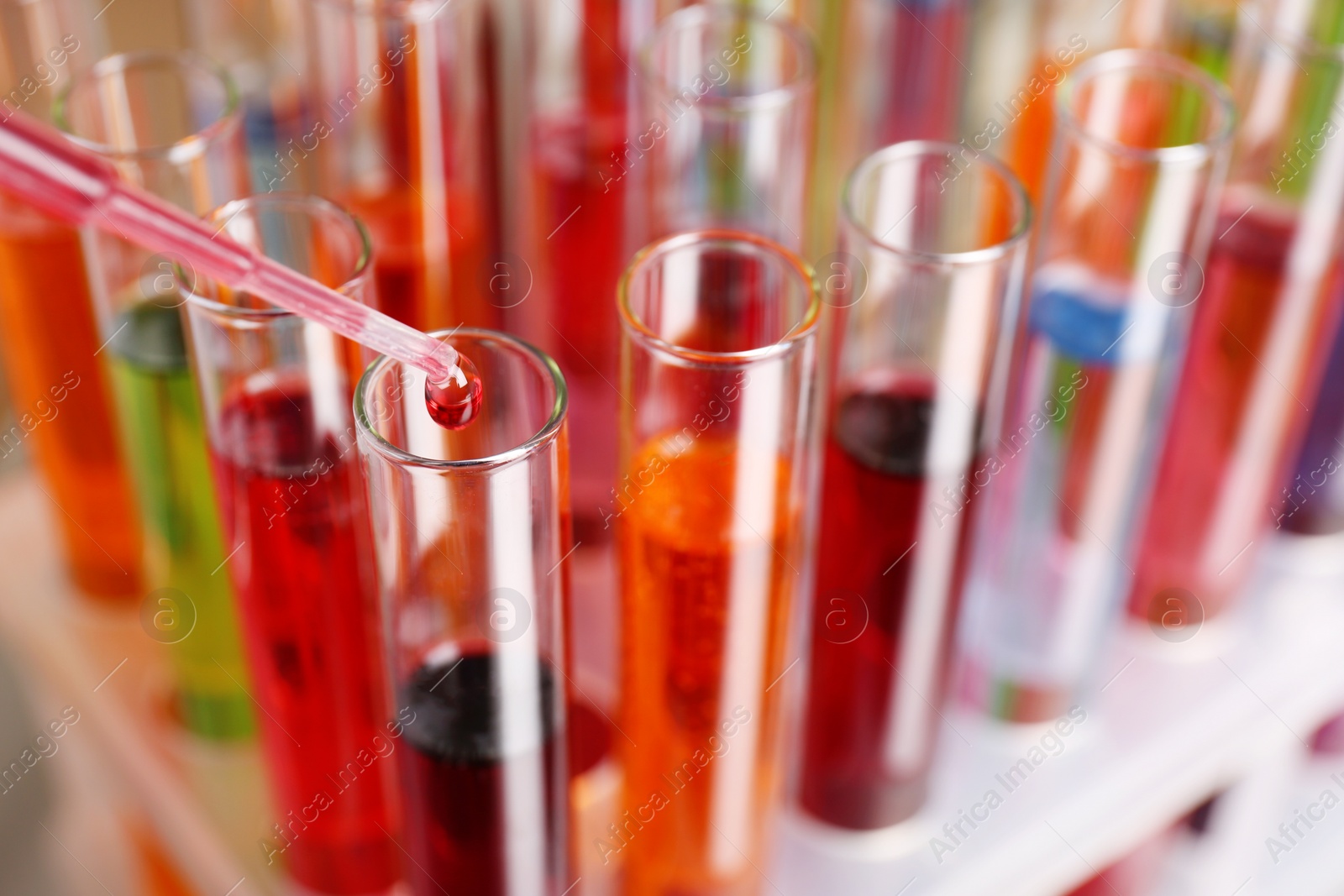 Photo of Dripping color liquid into test tube, closeup. Solution chemistry