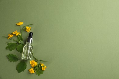 Bottle of natural celandine oil and flowers on green background, flat lay. Space for text